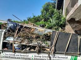 Best Shed Removal  in Detroit, MI