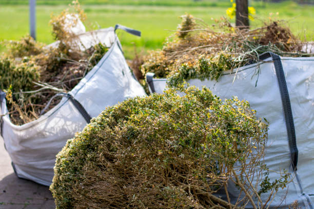Best Mattress Disposal  in Detroit, MI